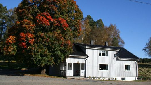 Fasaden på Fløvik Bo- og Omsorgshjem med stor tre ved siden av